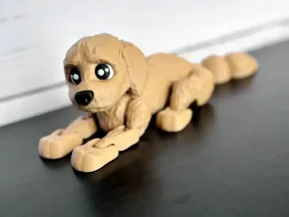 Лабрадор рухомий