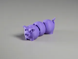 Wiggly Pig