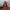 Deadpool – 21cm Lego Mini-Figure