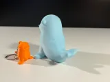 Foca Carina-2