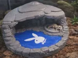 Playboy Grotto pet spa hide for pets with pool and food dish-1