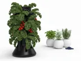 hydrophonic garden-1