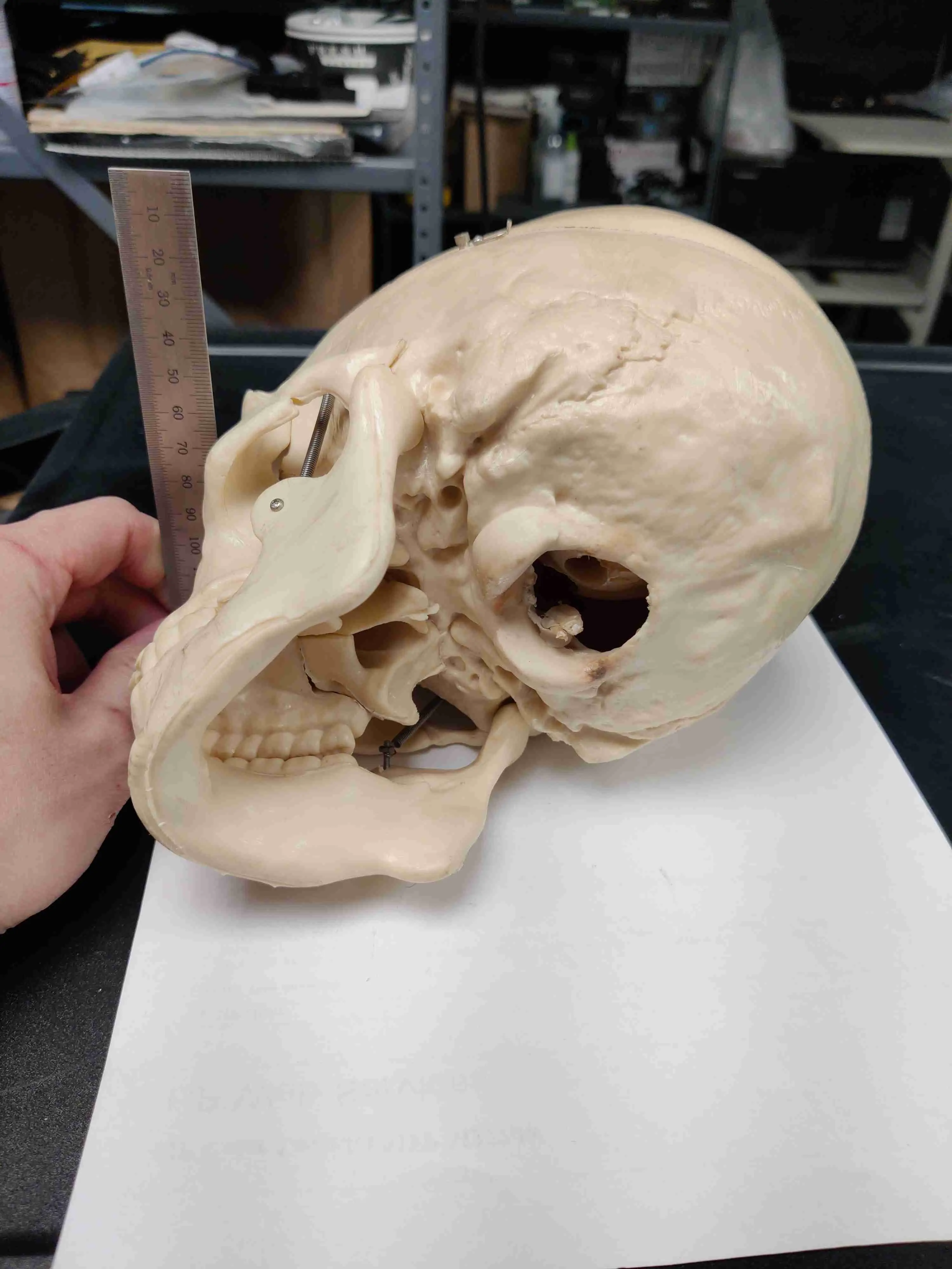 CR-Scan Ferret Scanning samples