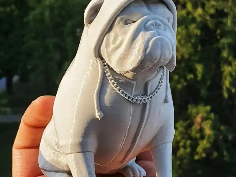 bulldog 