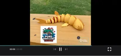Articulated funny trout