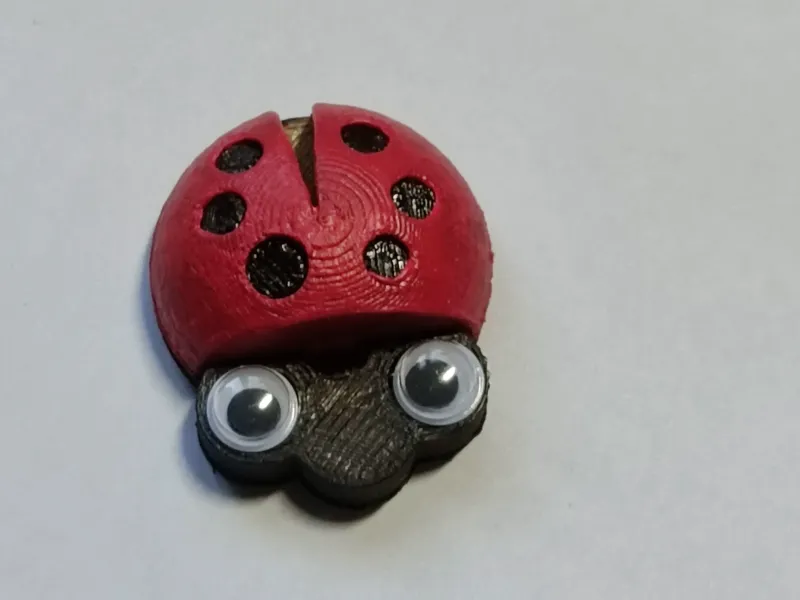LADYBUG BROOCH