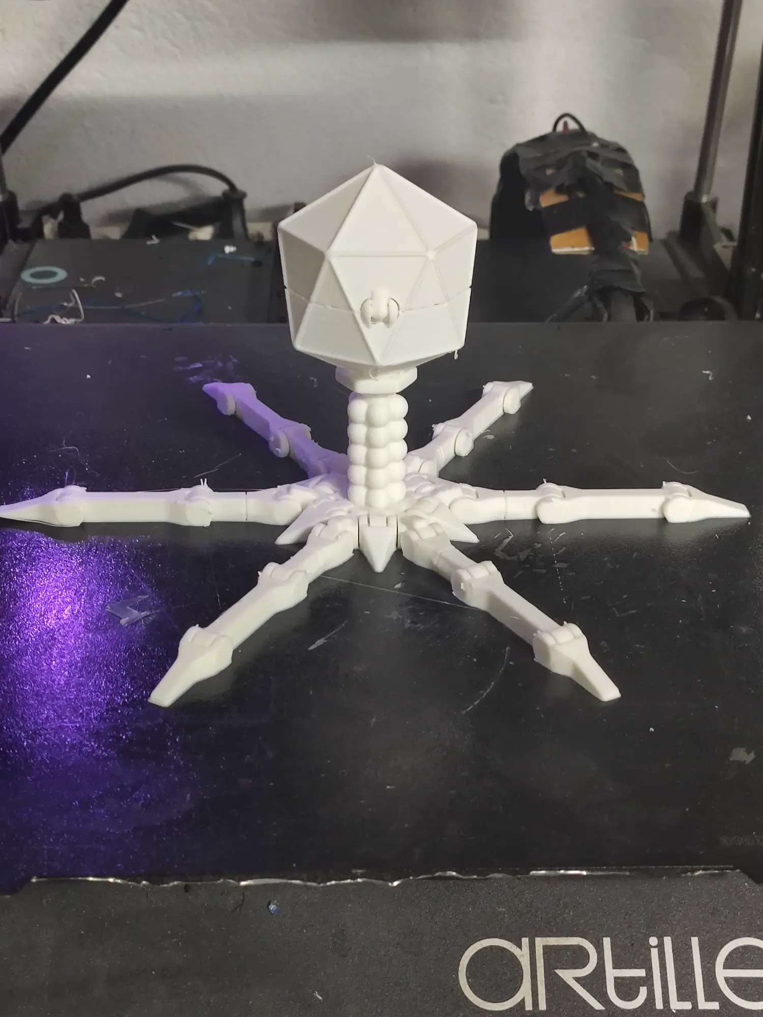 Cute Printed in Place Support Free Flexi Bacteriophage T4