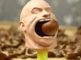 Nutcracker 🐿 the Rock-4