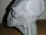 Alien head-0