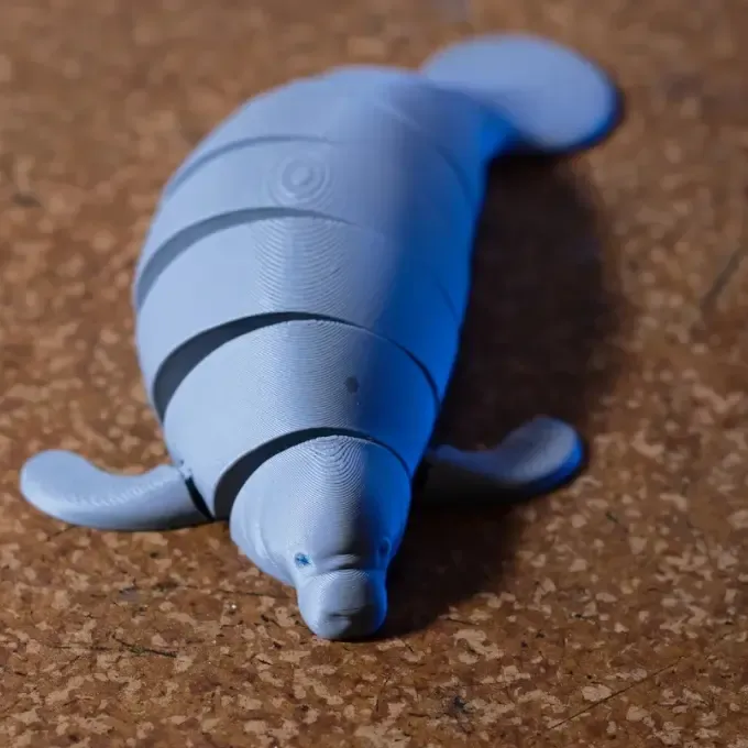 articulated manatee 