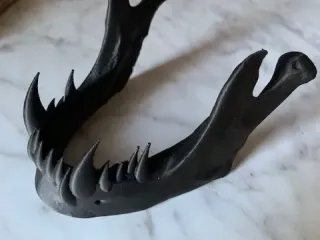 Fanged jawbone business card holder