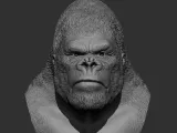 King Kong' bust-4