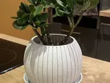 Marble Line Pot-3