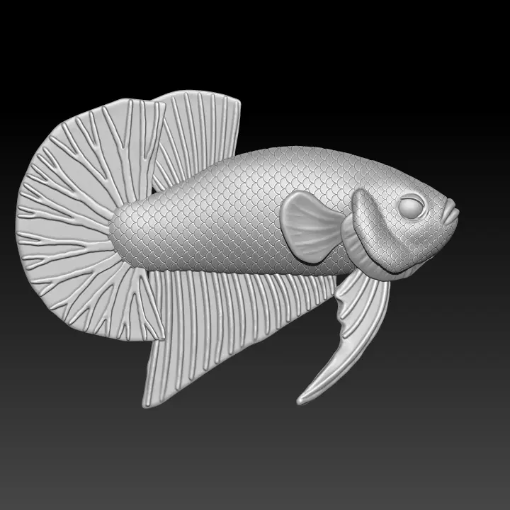 BETTA FISH 2