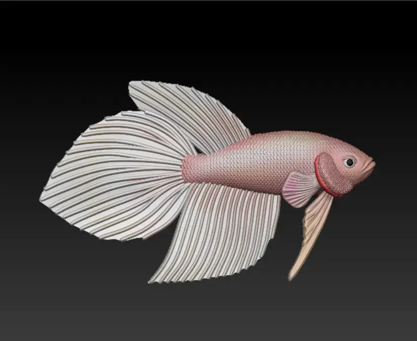 PESCE BETTA CODA DI VELO - PRONTO PER LA STAMPA 3D