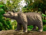 Bear-0
