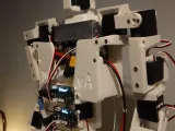 Wireless Humanoid Robot - Full body - Nova V6-3