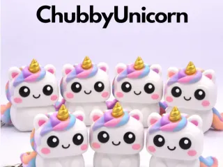 CHUBBYUNICORN