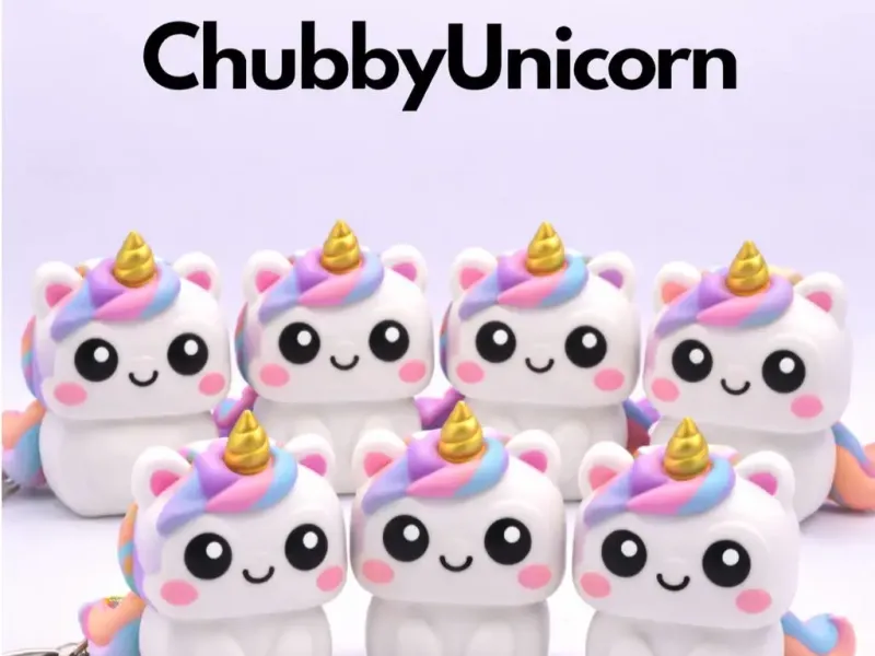 CHUBBYUNICORN