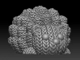 Knitted Hedgehog-4