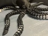 flexi+Kraken-1