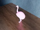 Low Poly Ostrich-2