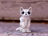 Skeleton Cat Articulated Toy-8