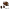 DK Jumbo