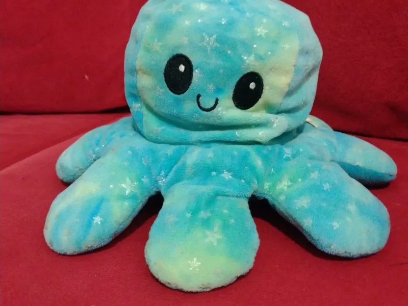 pouvo de estrela