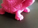Turtle Pot - Planter / Maceta Tortuga Manuelita Remix-3