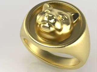 AC-PLAIN-RING-004