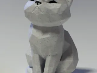 Cute Cat