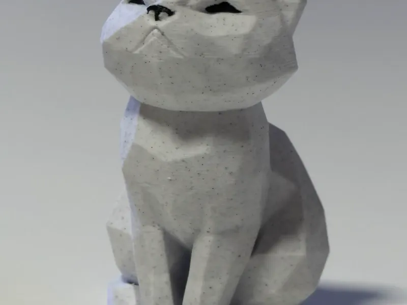 Cute Cat