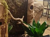 Log or Tree with branch for Terrarium Tank-2
