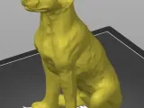dog pack 4-0