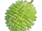 Durian-0