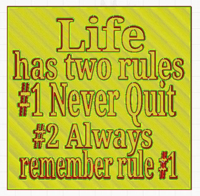 life has two rules