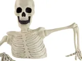 Ground Breaker Skeleton-0