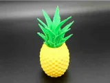 Pineapple Container-2