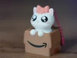 Clicker Cat Box Pack 🐱📦-5