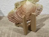 Shell Stand-3