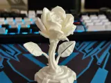 Cyber Rose-4