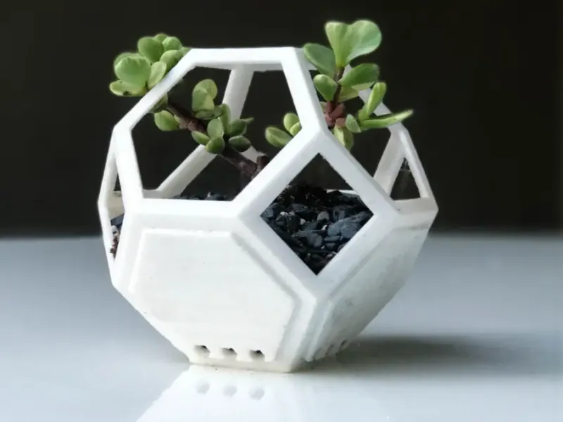 Modern Planter