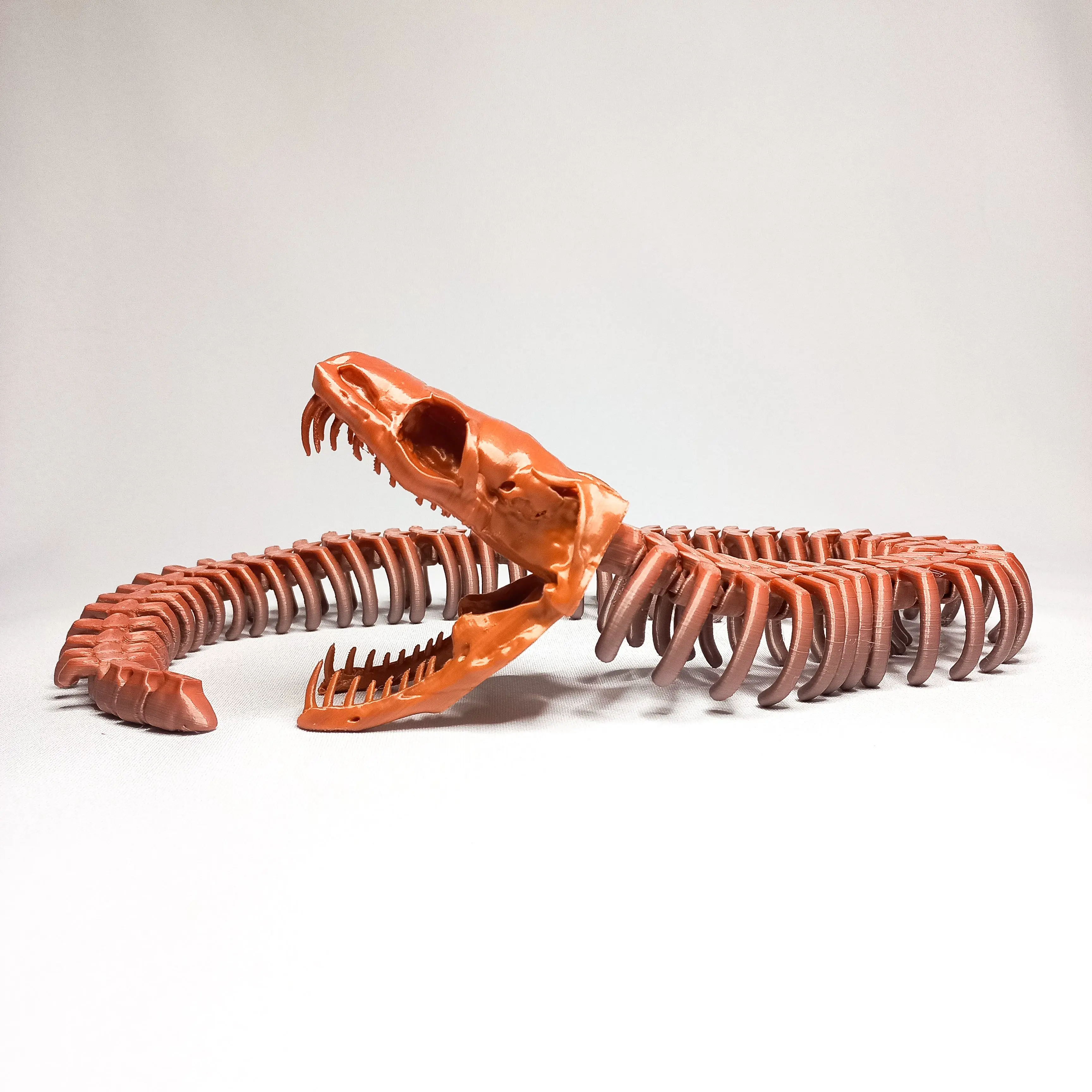 ARTICULATED SKELETON SNAKE