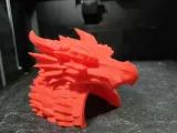 Dragon Head House for Pets Hide Lizard Geckos and Hamsters-1
