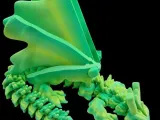 Swamp Dragon Flexi-0