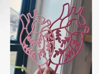 心脏攀爬架