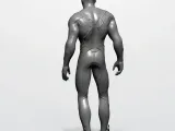 FLASH-2