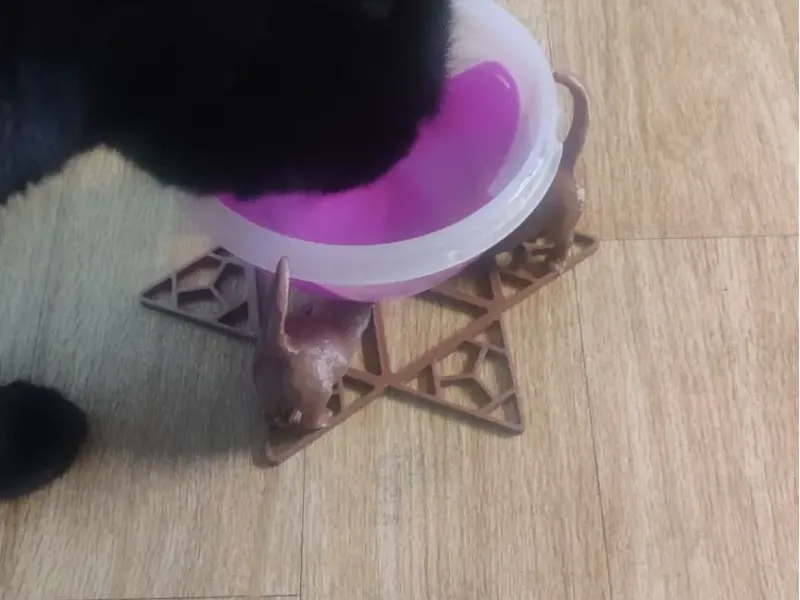 Stretch water bowl for cats