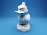 Grumpy Duck on a Rock-2